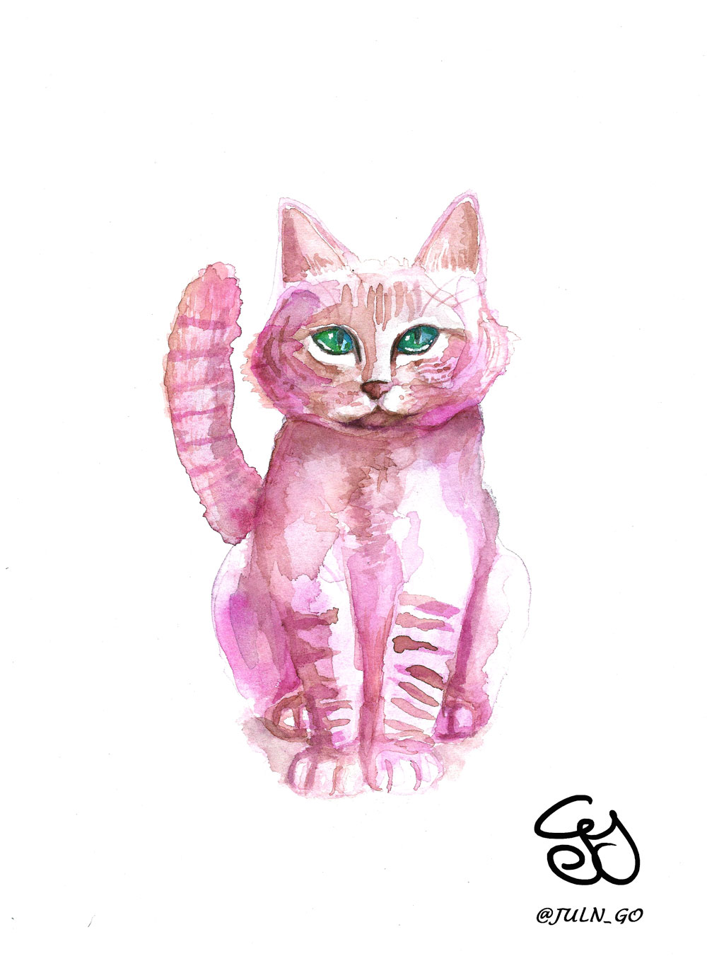 gatos