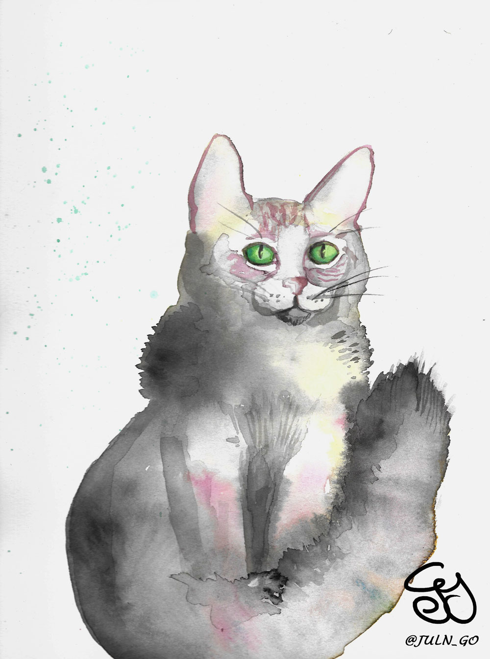 gatos