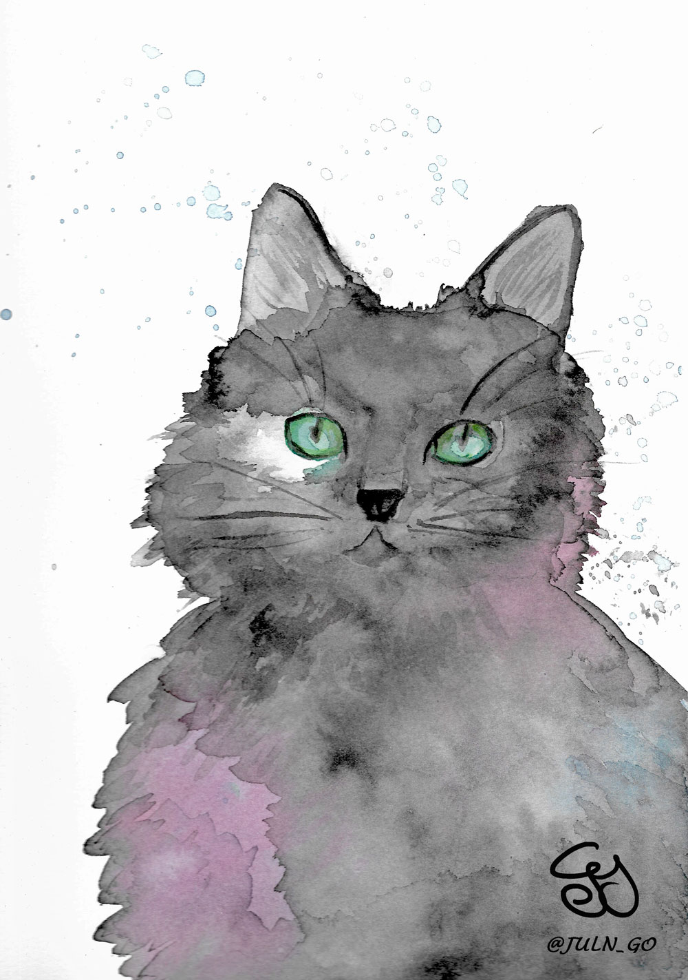 gatos