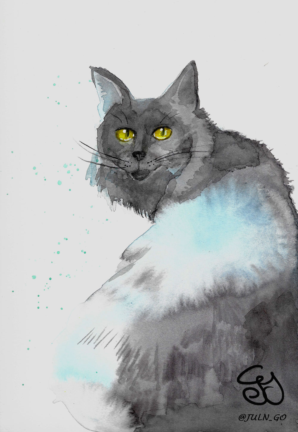 gatos
